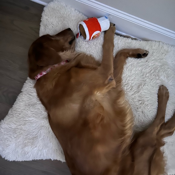 Meet your Posher, Cheryl - Picture 7 of 8